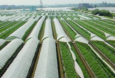 �r(n��ng)Ĥ-���f(w��n)�r(n��ng)�Y���̾W(w��ng)