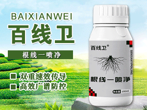 ɽ�|�G������Ƽ����޹�˾