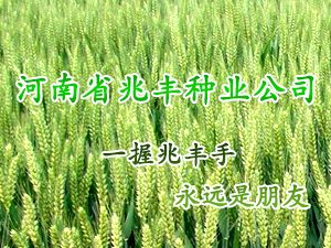 ����ʡ���S�N�I(y��)��˾