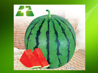 �ӱ��е�ʢ�M�S�r(n��ng)�I(y��)�l(f��)չ���޹�˾