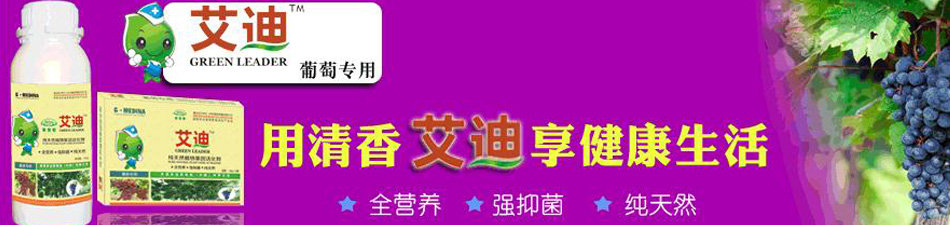 ���������Ǽ��F(tu��n)���Ї������޹�˾