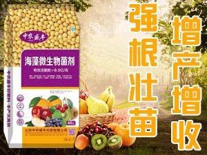 ɽ�|���r(n��ng)ʢ�S�������޹�˾