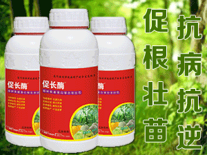 ����ʢ�ļ����ﱣ�o(h��)���޹�˾