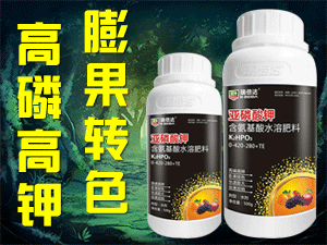 ���_����Ƽ����޹�˾