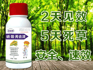 �����L(f��ng)�p�P(y��ng)���ﱣ�o(h��)���޹�˾