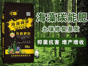 ɽ�|���̻������޹�˾