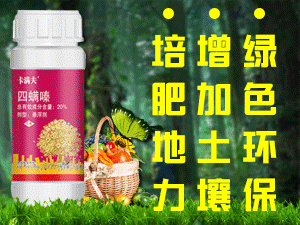 �ӱ��J���_(d��)����Ƽ����޹�˾