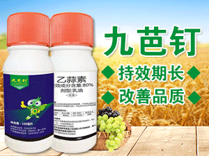 ���ݘ�(bi��o)���r(n��ng)�����޹�˾