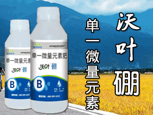 ����ʩ�����������＼�g(sh��)���޹�˾