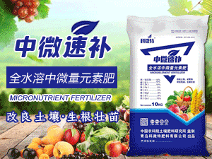 ���u��΢�ط������޹�˾