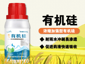 �ӱ���w�r(n��ng)�r(n��ng)�I(y��)�Ƽ����޹�˾