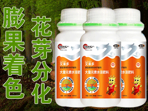 �����Єŵ����Ƽ��l(f��)չ���޹�˾