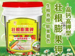 �ӱ������r(n��ng)�ʘI(y��)���޹�˾