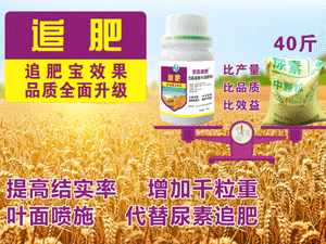 �S����(chu��ng)���r(n��ng)���ﱣ�o���޹�˾