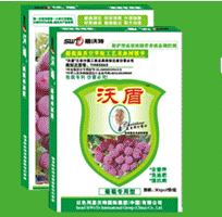 ��ɫ��˼���؇��H���F