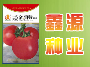 ���ҿ��������^(q��)��Դ�N�I(y��)