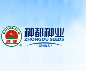 �Ϻ��N���N�I(y��)�Ƽ����޹�˾