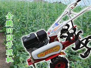 �۹����F(xi��n)���r(n��ng)�I(y��)�b�����޹�˾