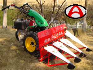 ��˾���r(n��ng)�C(j��)�Ƽ������A�����޹�˾