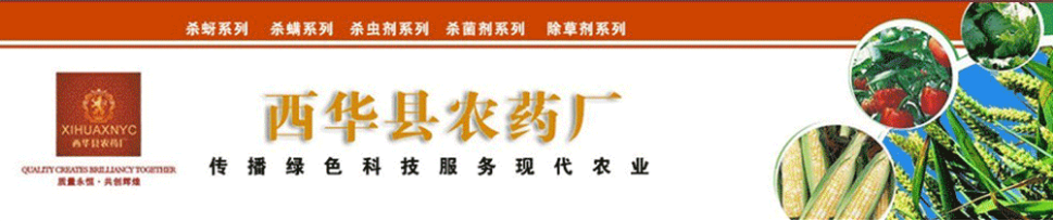 ���A�h�r(n��ng)ˎ�S