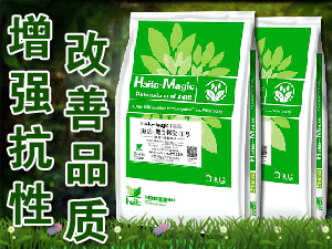 Ӣ�����Ϸ򣨱������r(n��ng)�I(y��)�Ƽ����޹�˾