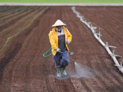 農(nóng)藥經(jīng)銷商與零售商的博弈瞭望.jpg 農(nóng)藥經(jīng)銷商與零售商的博弈瞭望.jpg