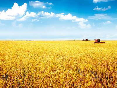 農(nóng)資加盟商如何在市場中生å­?李師.jpg 農(nóng)資加盟商如何在市場中生å­?李師.jpg