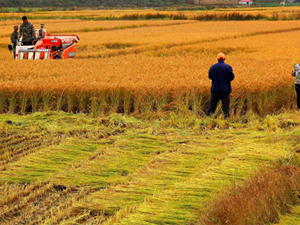 �r(n��ng)�Y���������ȡ�ðl(f��)&aring;��? ����.jpg