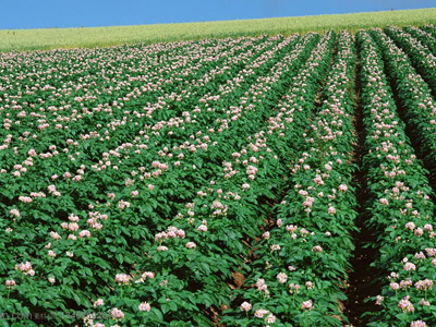 �r(n��ng)�Y���˵�Ҫ��������˚� ����.jpg