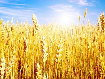 ��������δ��쏊(qi��ng)��(sh��)����Ʒ���� &aring;?1.jpg