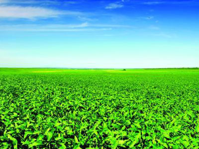 �������������N�µ��r(n��ng)�a(ch��n)Ʒ�� 11.jpg