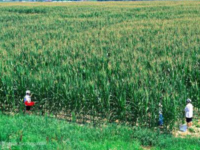 �������Ӹ㶨�r(n��ng)�YƷ�ƠI�N 1.jpg