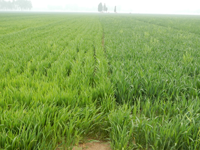 �ƏV�®a(ch��n)Ʒ�ĠI�N��ʩ ��־&aelig;˜?.jpg