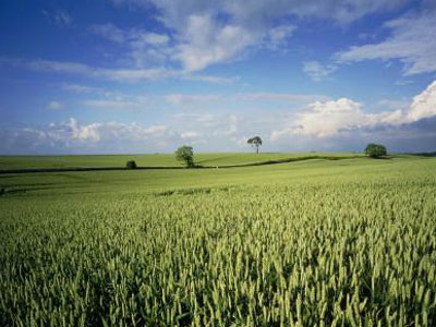 農(nóng)資代理商的未來在哪é‡?.jpg 農(nóng)資代理商的未來在哪é‡?.jpg