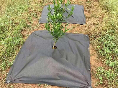 園豐一號(hào)新型防草布的神奇之å¤?.jpg 園豐一號(hào)新型防草布的神奇之å¤?.jpg