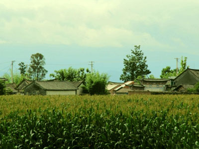 農(nóng)藥代理商可以這樣轉(zhuǎn)å?11.jpg 農(nóng)藥代理商可以這樣轉(zhuǎn)å?11.jpg