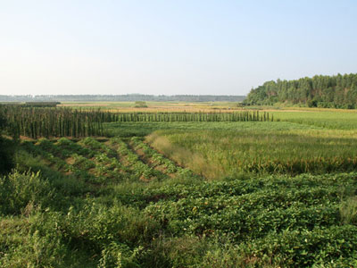 農(nóng)資企業(yè)的轉(zhuǎn)型之è·?11.jpg 農(nóng)資企業(yè)的轉(zhuǎn)型之è·?11.jpg