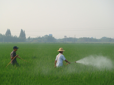 未標(biāo)é¢?1.jpg 未標(biāo)é¢?1.jpg