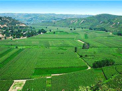 如何做好小南瓜育�?.gif 如何做好小南瓜育�?.gif