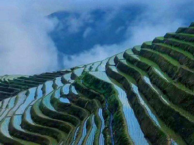 農(nóng)資代理商對(duì)企業(yè)的選擇是成功與否的關(guān)鍵所å?.jpg 農(nóng)資代理商對(duì)企業(yè)的選擇是成功與否的關(guān)鍵所å?.jpg