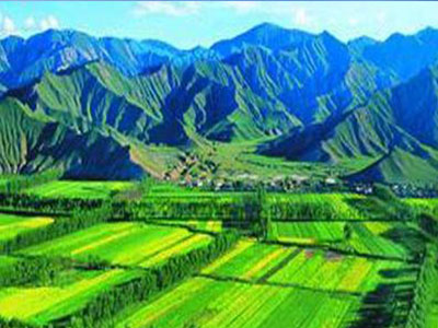 農(nóng)資代理商對(duì)企業(yè)的選擇是成功與否的關(guān)鍵所å?.jpg 農(nóng)資代理商對(duì)企業(yè)的選擇是成功與否的關(guān)鍵所å?.jpg