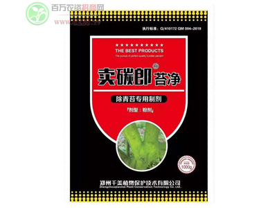 ǧ��ֲ�����Լ��ļ��g(sh��)���Ј���ռ��(j��)һϯ֮&aring;?.jpg