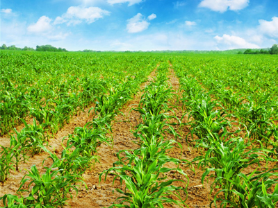 如何利用新媒體打造化肥行�?.jpg 如何利用新媒體打造化肥行�?.jpg