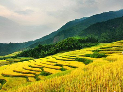 代理商靠什么才能領(lǐng)�?.jpg 代理商靠什么才能領(lǐng)�?.jpg