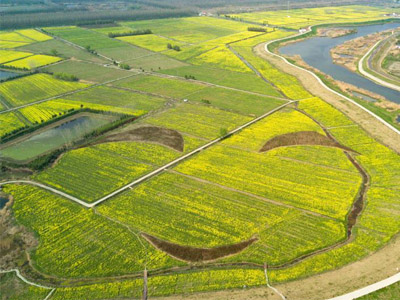 化肥企業(yè)如何經(jīng)營代理�?.jpg 化肥企業(yè)如何經(jīng)營代理�?.jpg