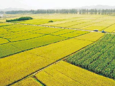 農資企業(yè)的營銷策略1.jpg 農資企業(yè)的營銷策略1.jpg