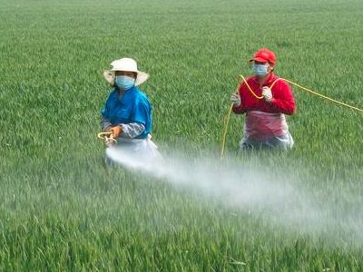 聰明的農(nóng)藥代理商都是這樣提高利潤�?1.jpg 聰明的農(nóng)藥代理商都是這樣提高利潤�?1.jpg