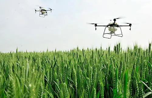 農(nóng)藥代理經(jīng)營(yíng)需要注意些什�?1.jpeg 農(nóng)藥代理經(jīng)營(yíng)需要注意些什�?1.jpeg