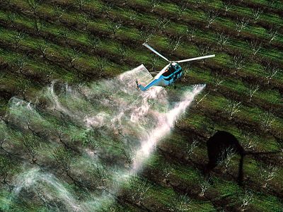 農(nóng)藥代理商如何利用網(wǎng)絡(luò)選擇合適的農(nóng)藥招商廠家-1.jpeg 農(nóng)藥代理商如何利用網(wǎng)絡(luò)選擇合適的農(nóng)藥招商廠家-1.jpeg