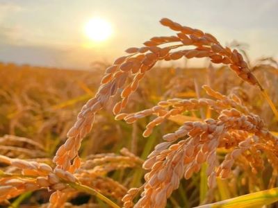 �r(n��ng)�Y��β������ø������(qi��ng)�?1 .jpeg